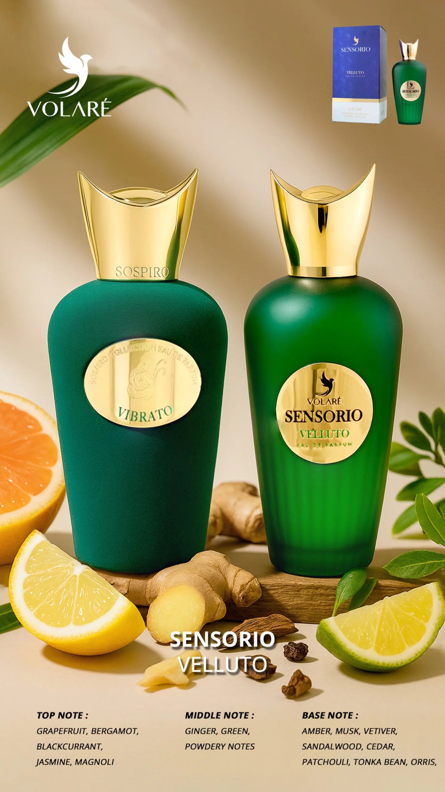 Volaré Sensorio Velluto | EDP 100ml