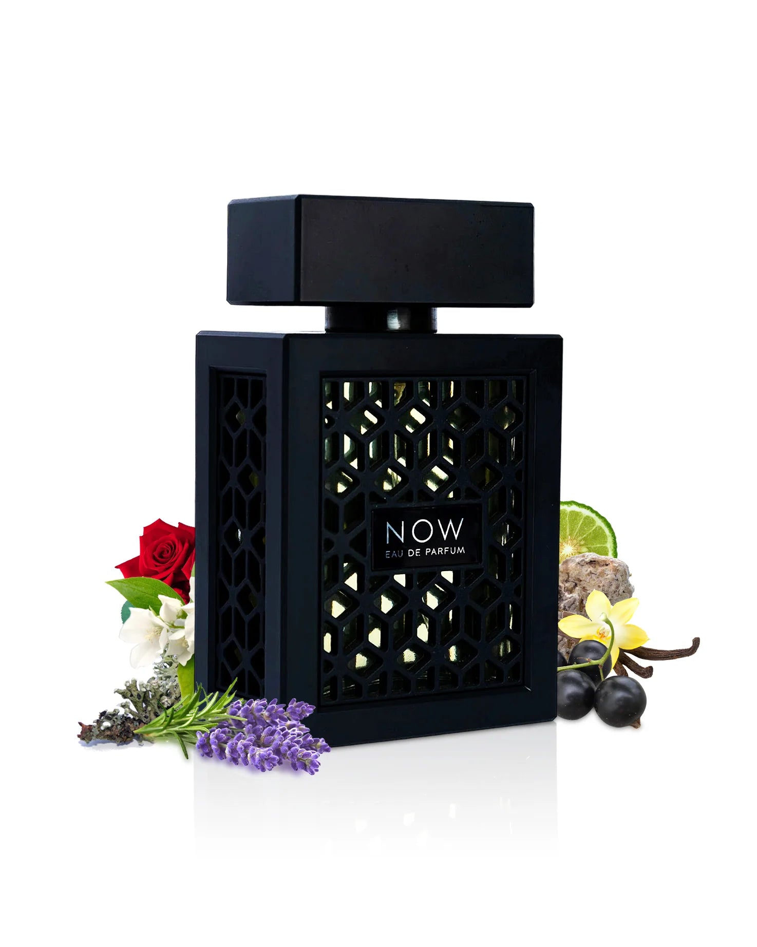 Lattafa Now Rave | EDP 100ml