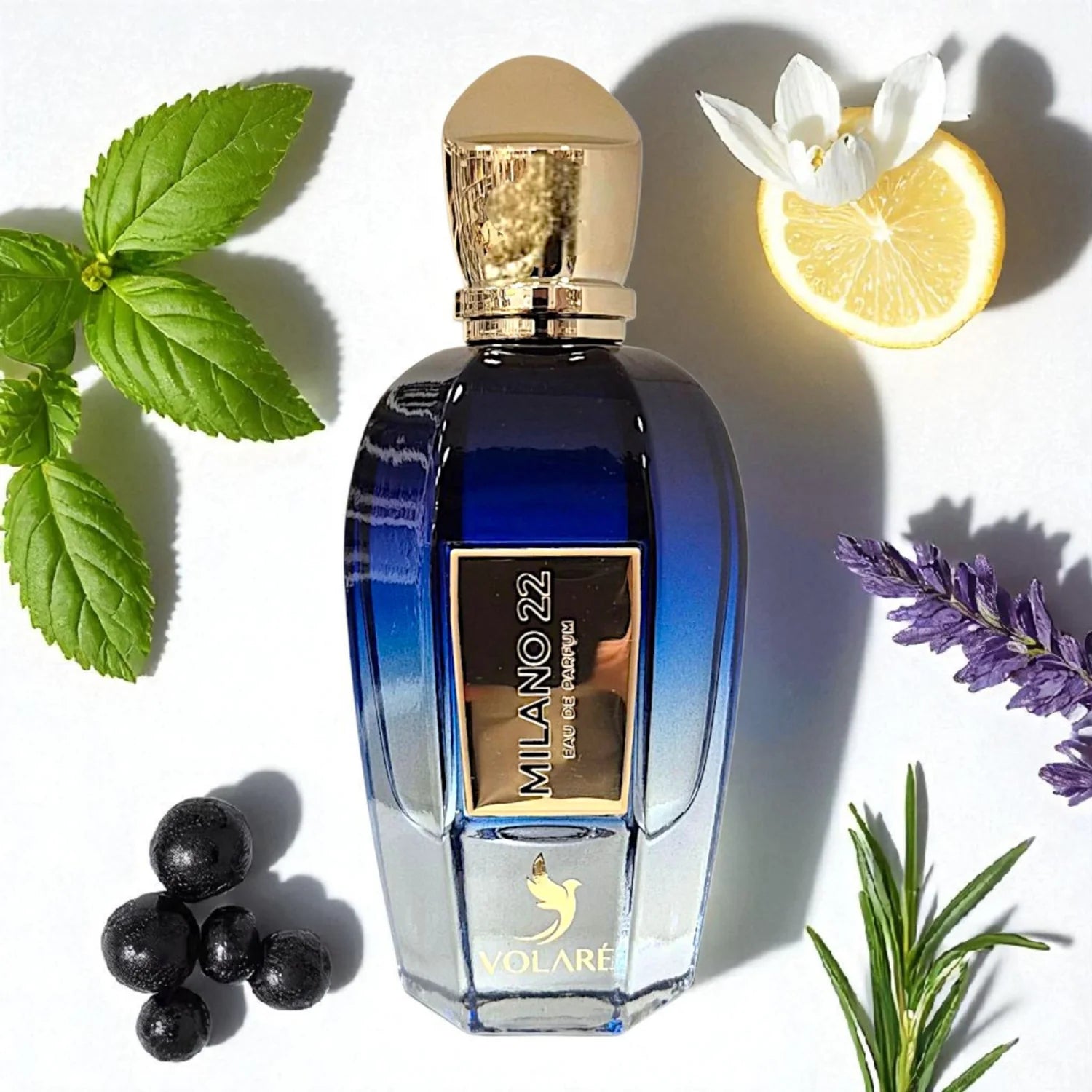 Volaré Milano 22 | EDP 25ml